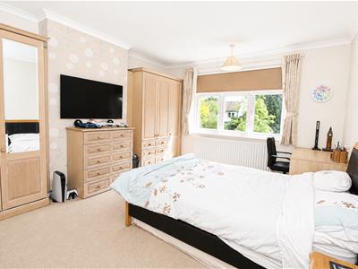 Picture 20